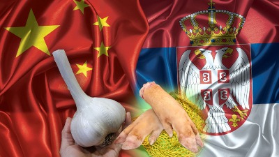 PAPCI SA BELIM LUKOM Šta to sve Kina donosi u Srbiju?