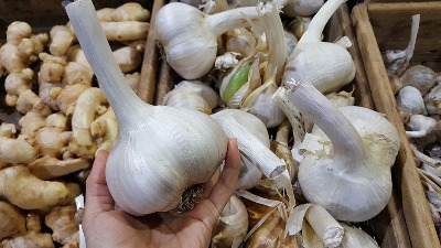 Stavite beli luk večeras ispod jastuka - ujutru vas čeka nešto NEOČEKIVANO 