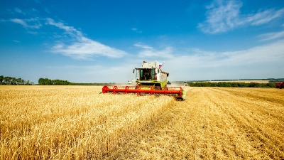 "Troškovi veći od prihoda": Poljoprivrednici u problemu