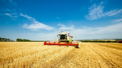 Nema dovoljno KVALITETNOG hlebnog brašna?