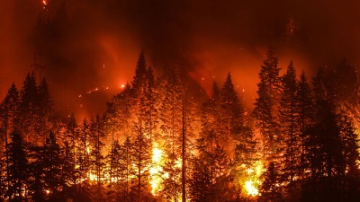 Više od 10.000 ljudi evakuisano zbog ogromnog požara