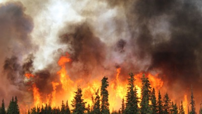 Bukti požar kod Pljevalja: Gori borova šuma
