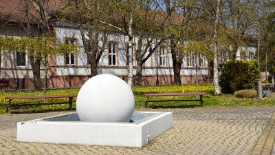Bački Petrovac: Član SSP udaren pesnicom u lice