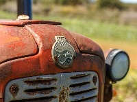 Pajić (Udruženje Naše mleko): Poljoprivrednici ne idu na sastanak kod ministra, to je pokušaj obmane"