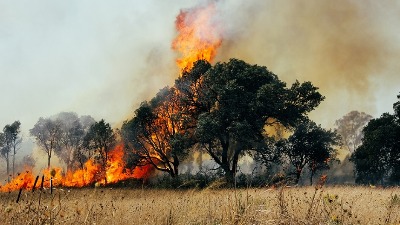 Bukte požari u Severnoj Makedoniji