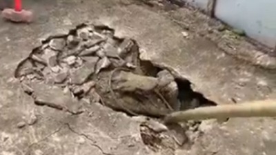Razbili beton zbog čudnog zvuka, a ispod zatekli NJEGA (VIDEO)