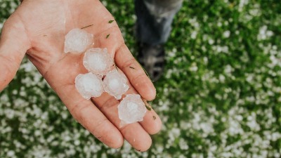 Neverovatan prizor na Zlatiboru posle nevremena (FOTO)