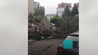 Drvo palo na ženu u centru Skoplja (VIDEO)