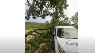Drveće padalo na vozila: Nevreme i u Hrvatskoj (VIDEO)