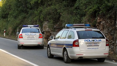 Sekli drvo kod dalekovoda, jedan ostao na mestu mrtav