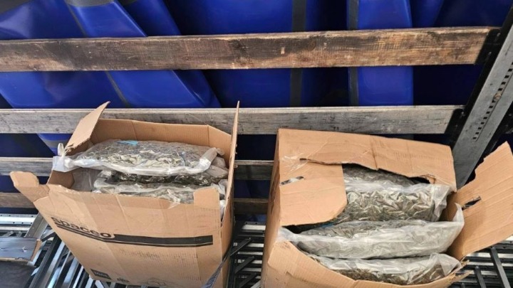 Zaplena marihuane kod Kruševca zasenila i JOVANJICU: Na ovo pitanje još NEMA ODGOVORA