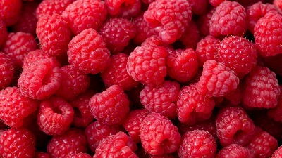 Voćari traže da se obezbedi moratorijum na kredite