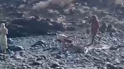 Muškarac brutalno pretučen štapom na plaži (VIDEO)