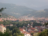 NLS: Izvođači radova za Šumsku upravu Ivanjica odbili da šetaju na SNS mitinzima, blokirane im firme