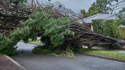 Olujno nevreme pogodilo i delove Evrope, vetar dostizao 100 km/h