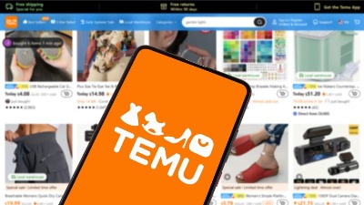 Nemačka pokrenula istragu protiv Temua