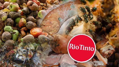 Paradajz iz ALBANIJE, luk iz RUSIJE: A šta ćemo jesti ako proradi RIO TINTO?