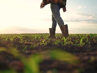 Subvencije bez računa: Ko sve ima pravo na olakšice?