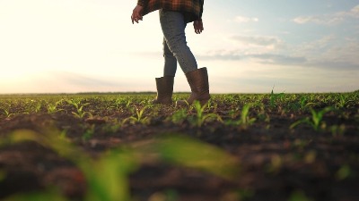 Subvencije bez računa: Ko sve ima pravo na olakšice?