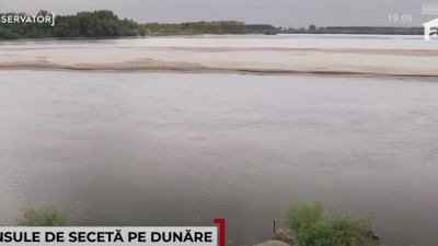 Uginule životinje plutaju Dunavom, meštani se žale na smrad