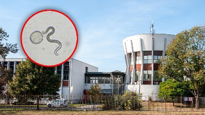 Opozicija u NS: Tražimo hitnu sednicu Skupštine grada o vodosnabdevanju i formiranje specijalne Komisije