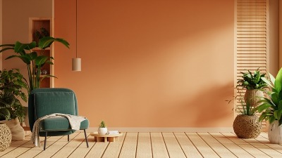 Kutak kuće koji je magnet za novac: Biljke postavite na OVO MESTO