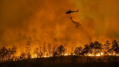 Požar kod Kraljeva: Vatra guta šumu, izgorelo 170 hektara