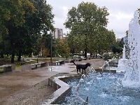 10 dana temperature 20 stepeni, a onda stiže nova tura snega