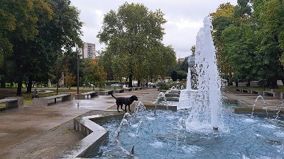 10 dana temperature 20 stepeni, a onda stiže nova tura snega