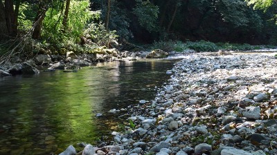 "Ovo je katastrofa": Reka Gradac PRESUŠILA