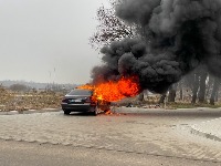 Brat zapalio automobile jer se vode na sestru, a ne na njega (FOTO)