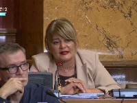 Nestorović: Podrška studentima nije politička, već moralna odluka