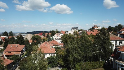 SSP Zvezdara: Ne dirajte nam park