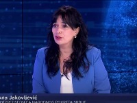 Jakovljević (NPS): Komisiji će biti potrebno 6 meseci da pregleda trenutni birački spisak