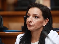 Stravičan fizički napad na Mariniku Tepić i njenu majku u Pančevu
