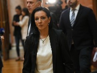 Tepić o incidentu u NS: Najbrutalnija policijska akcija do sada