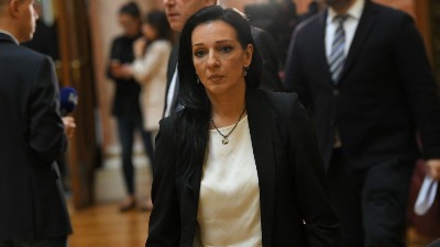 Pijan napao Mariniku Tepić i njenu majku - dobio prekršajnu prijavu