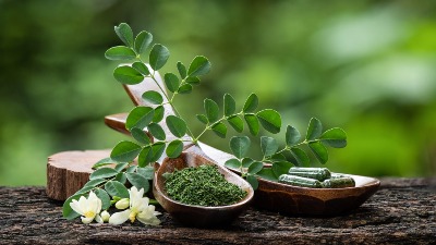 Biljka koju zovu "zeleno zlato"! Pomaže kod mnogih bolesti, a riznica je vitamina (FOTO) 