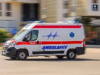 Tužilaštvo o ubistvu psa Done: Kada se dostave sva obaveštenja, donećemo odluku