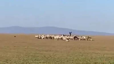 "Vidimo se u boljoj Srbiji": Pastir pozdravio studente na putu ka NS (VIDEO)