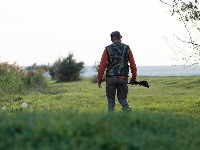 Jeziva scena u Aranđelovcu: Vozio leš vepra na haubi kroz centar grada (FOTO)