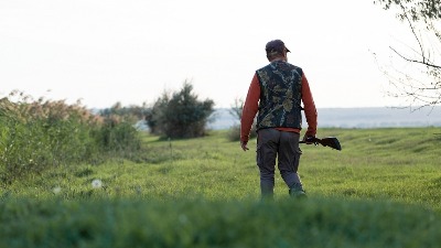 Jeziva scena u Aranđelovcu: Vozio leš vepra na haubi kroz centar grada (FOTO)