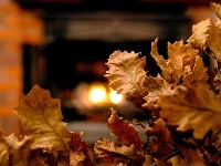 Kada se po pravilu ide po badnjak?