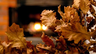 Kada se po pravilu ide po badnjak?