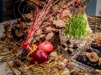 Badnjak i riba samo za bogate: Cene šokiraju kupce!