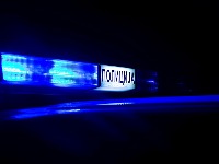 Muškarac oboren na pešačkom, vozač dao gas i pobegao