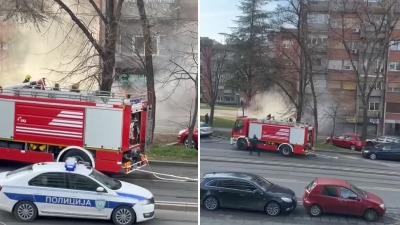 Požar u prodavnici oružja u Vojvode Stepe, čuju se PUCNJI: Oglasio se Dačić (VIDEO)