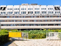 Aleksa podlegao povredama: Zakucao se kolima u banderu, pa umro na VMA