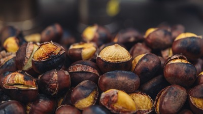 Kad čujete zašto su naše bake stavljale KESTENJE NA PROZORE, odmah ćete i vi uraditi isto: Desiće se nešto NEVEROVATNO 