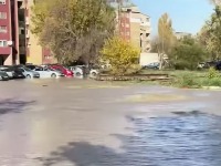 Ogromna HAVARIJA u Novom Sadu: Voda se izlila na ulicu (VIDEO, FOTO)